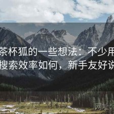 围绕茶杯狐的一些想法：不少用户会问搜索效率如何，新手友好说明