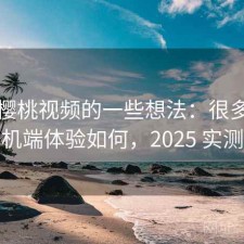 围绕樱桃视频的一些想法：很多人关心手机端体验如何，2025 实测整理