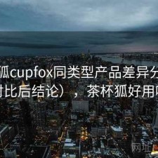 茶杯狐cupfox同类型产品差异分析（对比后结论），茶杯狐好用吗