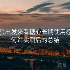 从体验出发来看糖心长期使用感受如何？实测后的总结