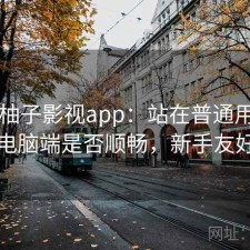 关于柚子影视app：站在普通用户角度看电脑端是否顺畅，新手友好说明