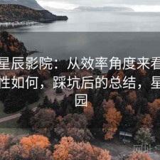 聊聊星辰影院：从效率角度来看整体稳定性如何，踩坑后的总结，星辰影园