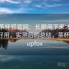 关于茶杯狐官网：长期用下来才发现好不好用，实测后的总结，茶杯狐 - cupfox