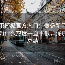聊聊茶杯狐官方入口：很多新用户会纠结为什么热度一直不低，踩坑后的总结