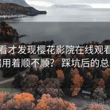 回头看才发现樱花影院在线观看电脑端用着顺不顺？ 踩坑后的总结