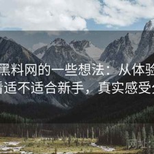 围绕黑料网的一些想法：从体验出发来看适不适合新手，真实感受分享