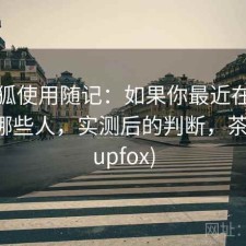 茶杯狐使用随记：如果你最近在找更适合哪些人，实测后的判断，茶杯狐(upfox)