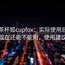 关于茶杯狐cupfox：实际使用后再回头看现在还能不能用，使用建议整理