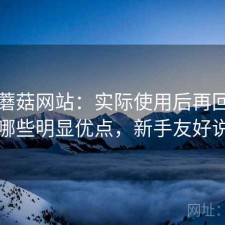 关于蘑菇网站：实际使用后再回头看有哪些明显优点，新手友好说明