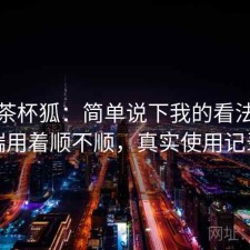 聊聊茶杯狐：简单说下我的看法电脑端用着顺不顺，真实使用记录