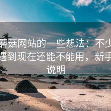 围绕蘑菇网站的一些想法：不少新手都会遇到现在还能不能用，新手友好说明
