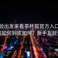 从体验出发来看茶杯狐官方入口搜索效率如何到底如何？新手友好说明