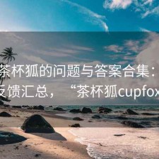 围绕茶杯狐的问题与答案合集：真实反馈汇总，“茶杯狐cupfox”