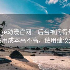 聊聊age动漫官网：后台被问得最多的是使用成本高不高，使用建议汇总
