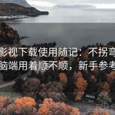 柚子影视下载使用随记：不拐弯直接说电脑端用着顺不顺，新手参考说明