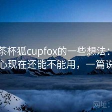 围绕茶杯狐cupfox的一些想法：很多人关心现在还能不能用，一篇说清楚