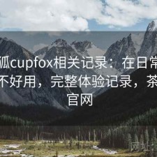 茶杯狐cupfox相关记录：在日常使用中好不好用，完整体验记录，茶杯狐 官网