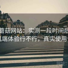 聊聊蘑菇网站：实测一段时间后发现手机端体验行不行，真实使用记录