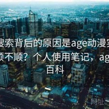 高频搜索背后的原因是age动漫实际用起来顺不顺？个人使用笔记，age动漫百科