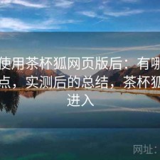 实际使用茶杯狐网页版后：有哪些明显优点，实测后的总结，茶杯狐官网进入