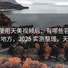 实际使用天美视频后：有哪些容易踩坑的地方，2025 实测整理，天美t1