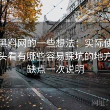 围绕黑料网的一些想法：实际使用后再回头看有哪些容易踩坑的地方，优缺点一次说明