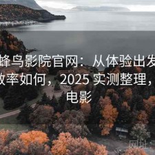关于蜂鸟影院官网：从体验出发来看搜索效率如何，2025 实测整理，蜂鸟 电影