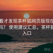 回头看才发现茶杯狐网页版现在用还合适吗？ 使用建议汇总，茶杯狐官方入口