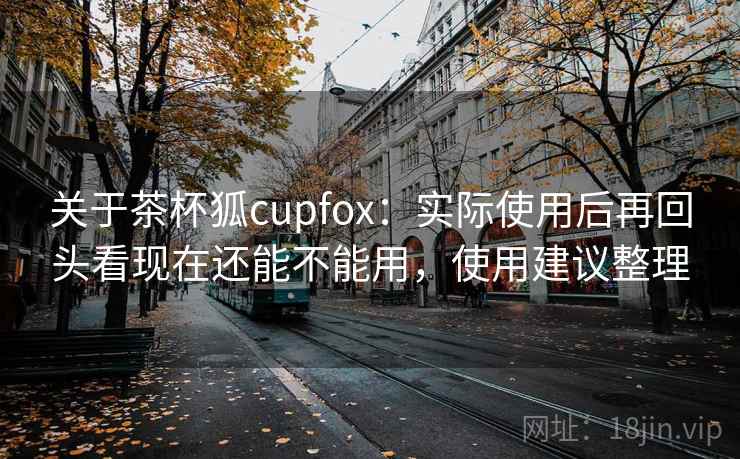 关于茶杯狐cupfox：实际使用后再回头看现在还能不能用，使用建议整理  第2张