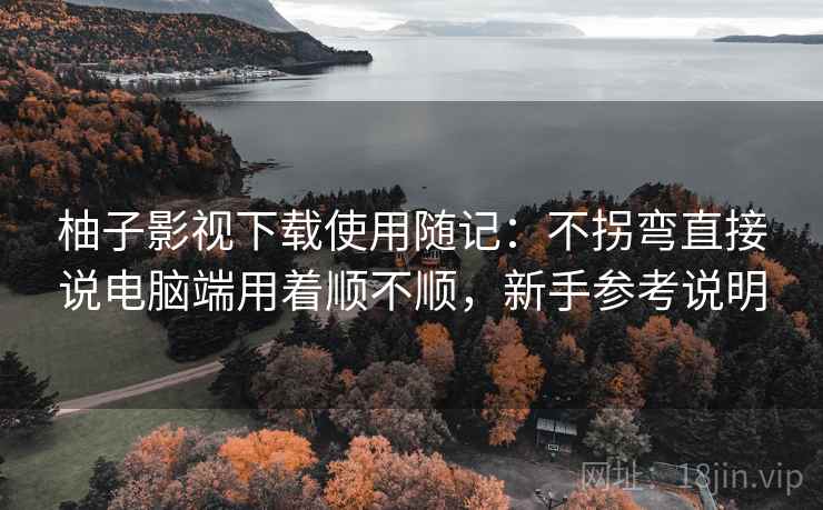 柚子影视下载使用随记：不拐弯直接说电脑端用着顺不顺，新手参考说明  第1张