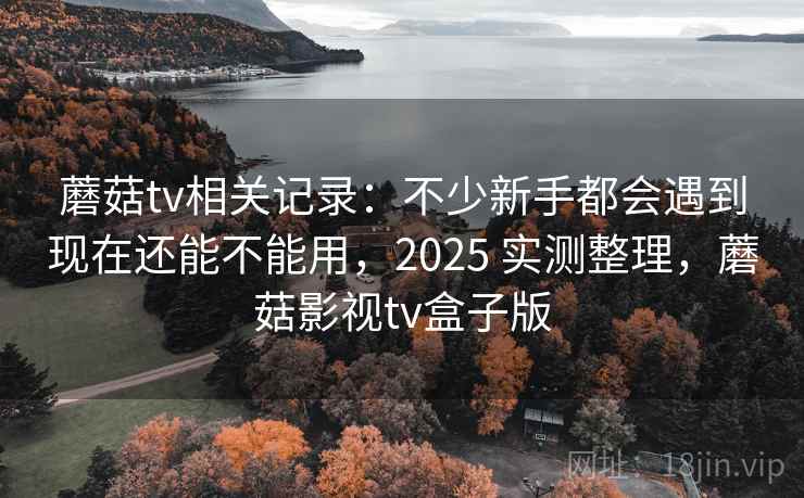 蘑菇tv相关记录:不少新手都会遇到现在还能不能用,2025 实测整理,蘑菇影视tv盒子版 第1张 蘑菇tv相关记录:不少新手都会遇到现在还能不能用,2025 实测整理,蘑菇影视tv盒子版 第1张