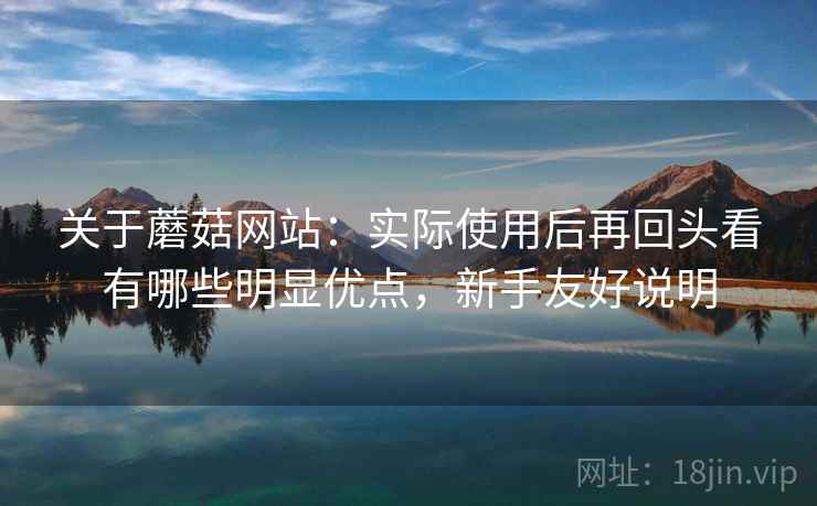 关于蘑菇网站：实际使用后再回头看有哪些明显优点，新手友好说明  第2张