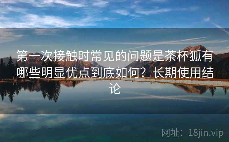 第一次接触时常见的问题是茶杯狐有哪些明显优点到底如何？长期使用结论  第2张